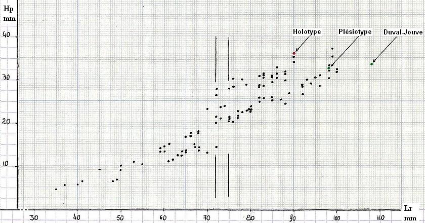 8 graph2