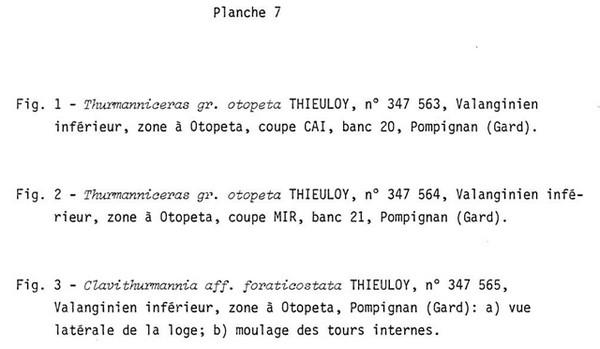 Planche 7a