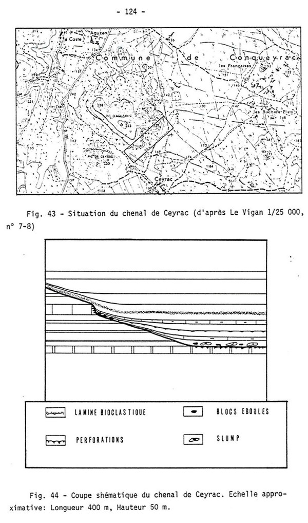 Tg124