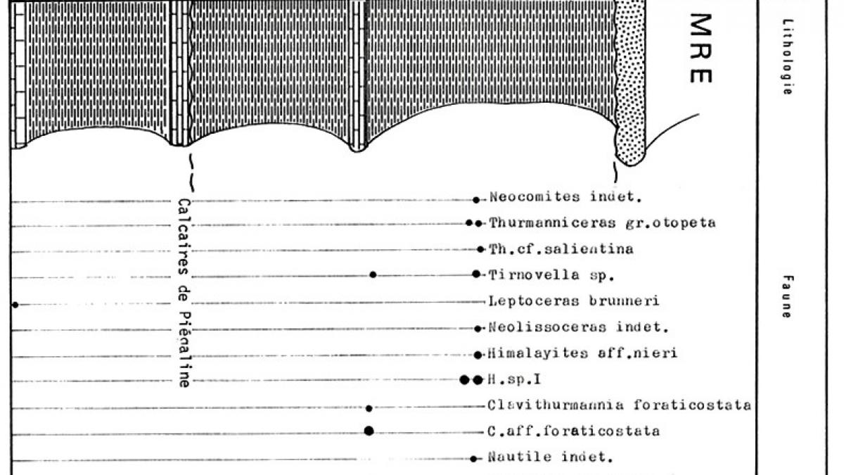 Tg20a