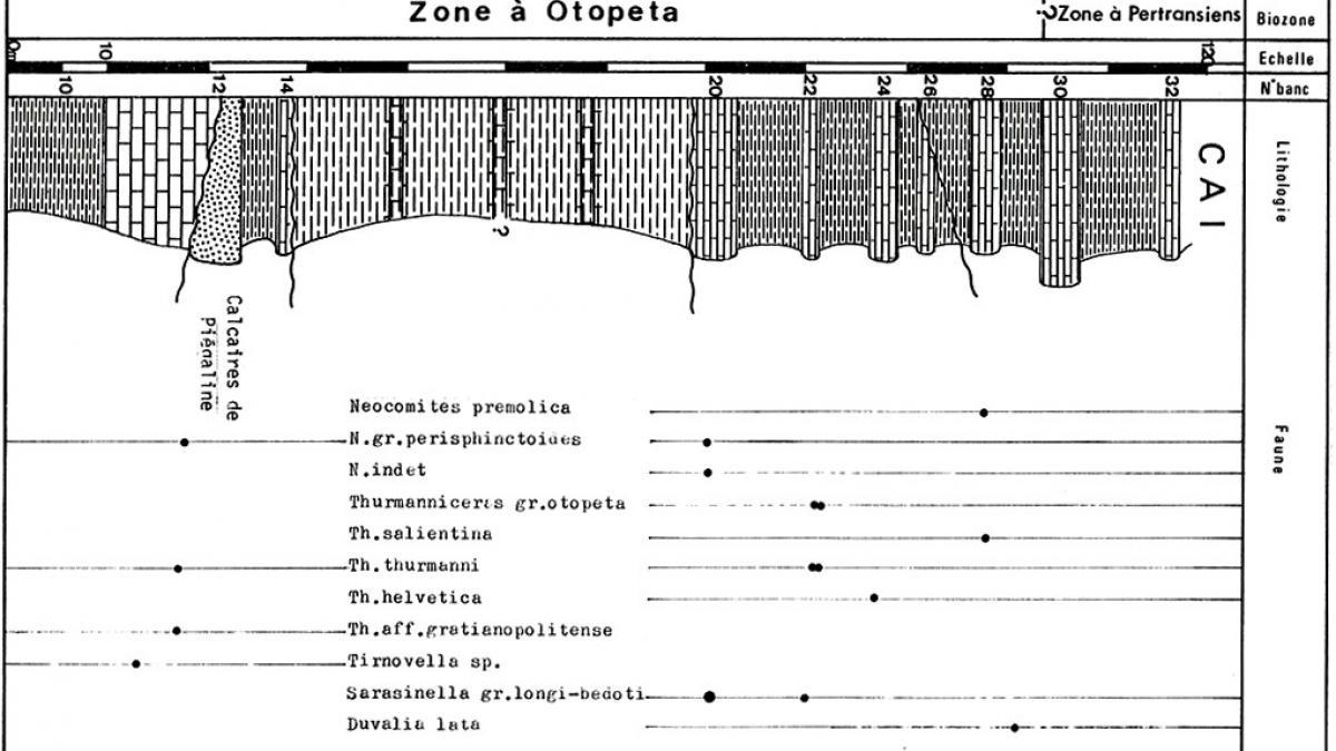 Tg22a