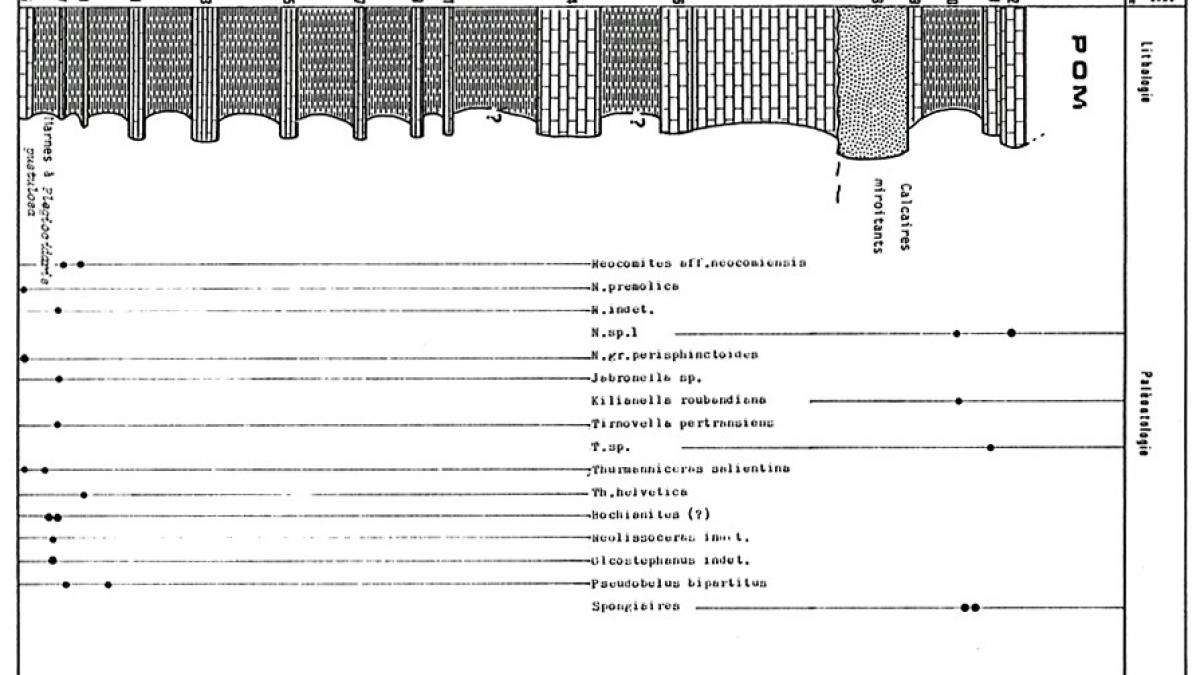 Tg25a