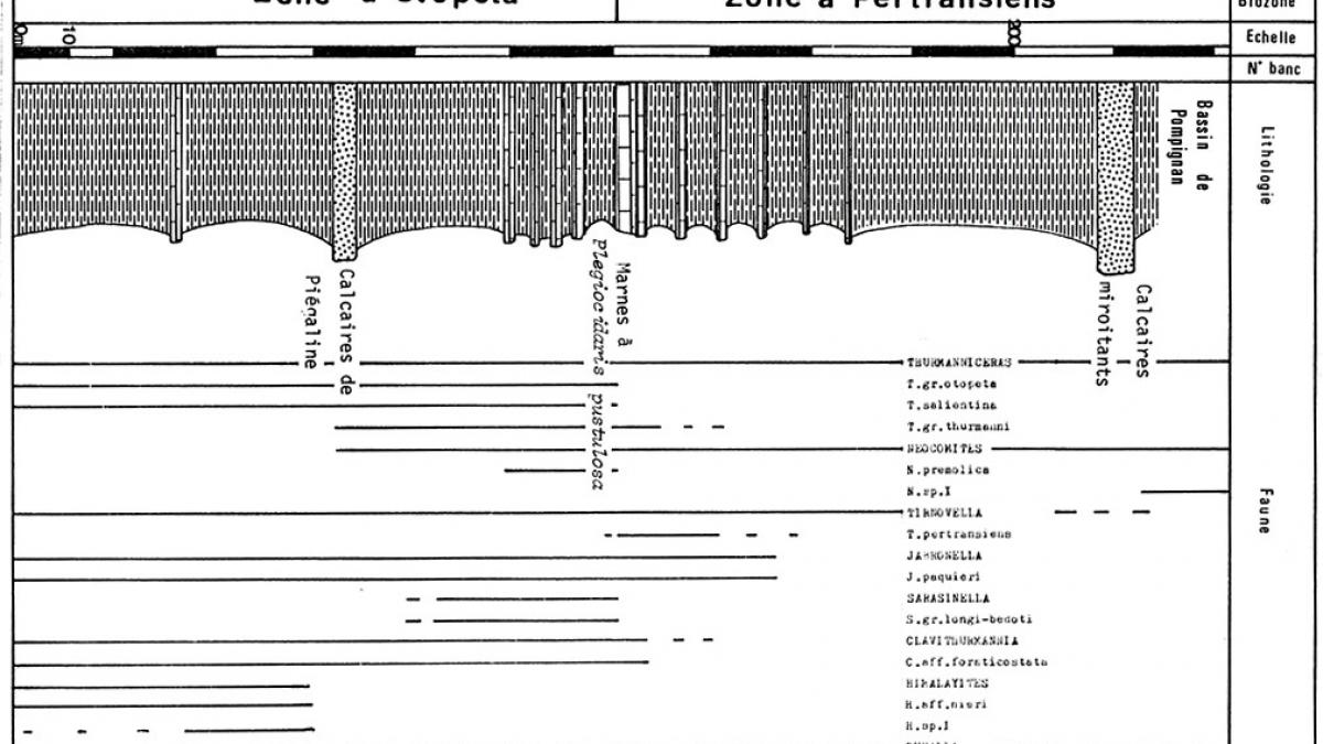 Tg27a