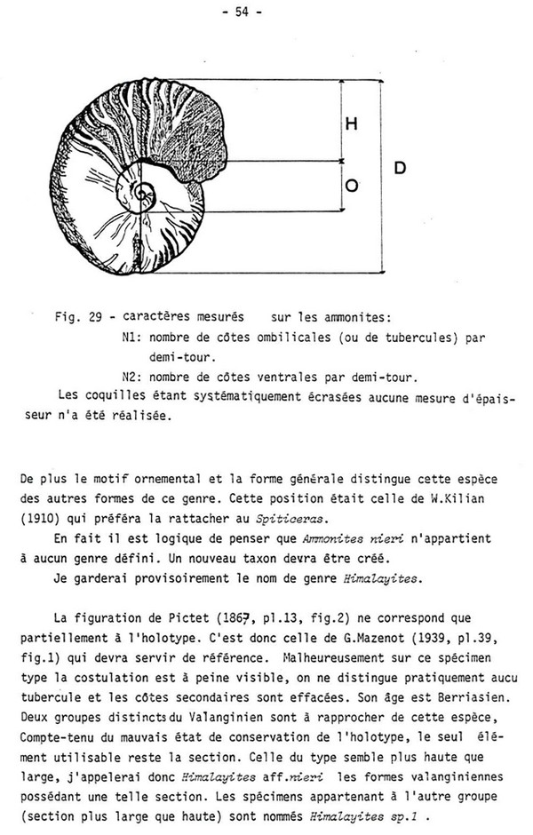 Tg54