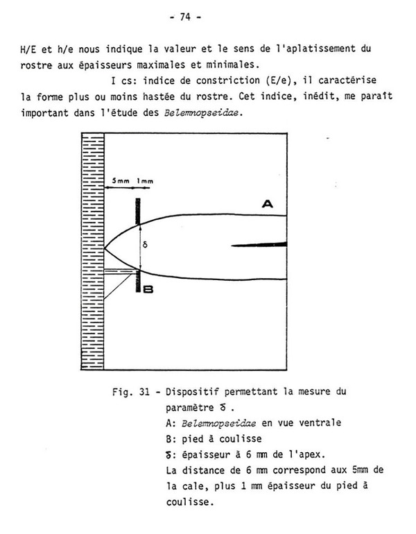 Tg74