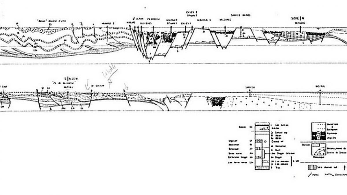 Tg9a